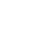 healthy-homes-icon-outline-white